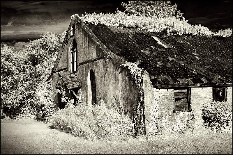 04-i08.jpg - Steeds Cup