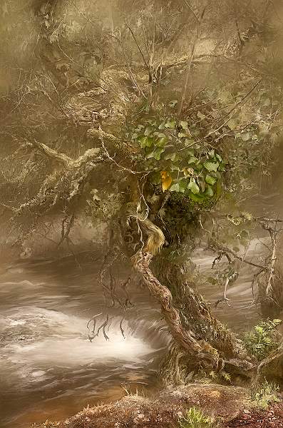 BB2.jpg - Twisted Ivy