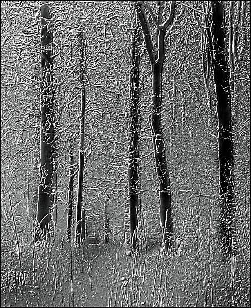 i020.jpg - (B)  ANNUAL EXHIBITON 2018