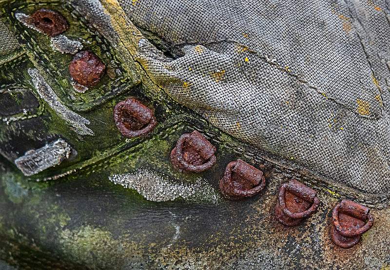 Rusty Old Boots_Alison Hance_2.jpg - Rusty Old Boots No 1