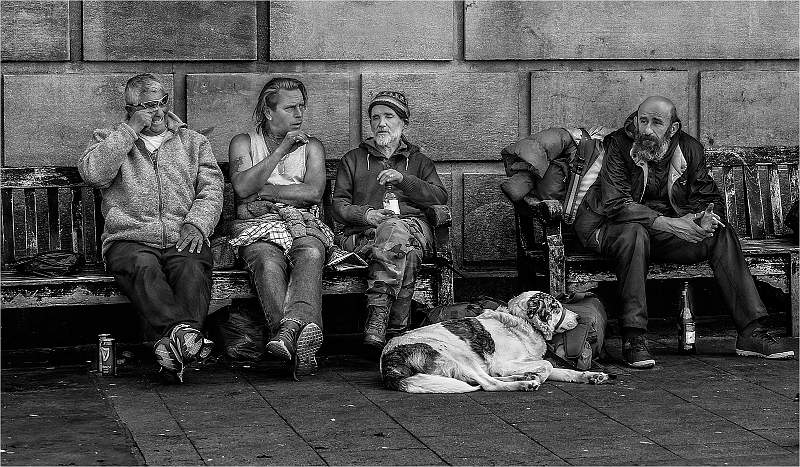 The locals_Russell Hynard.jpg - Nash Salver (Life) - The Locals - Russell Hynard