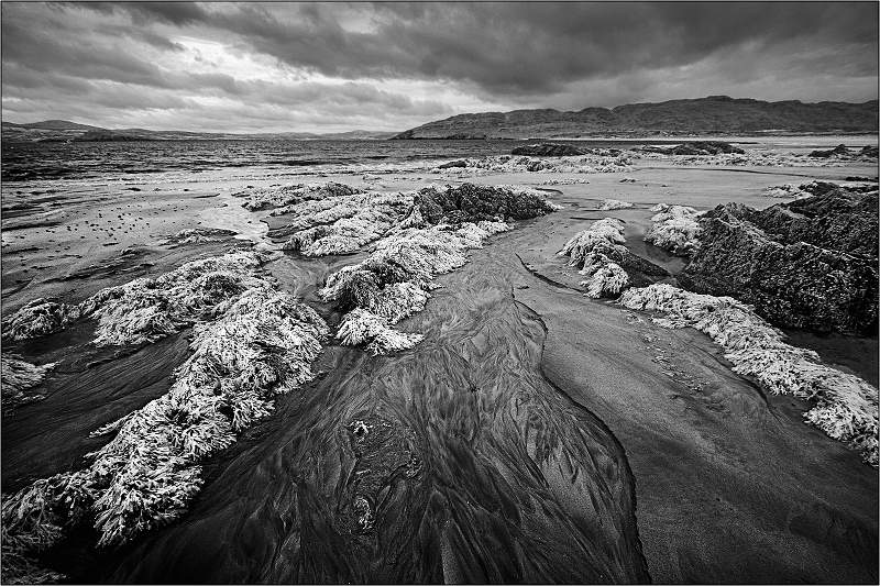 Bally Stocker Bay Tide Lines_Barry Freeman.jpg