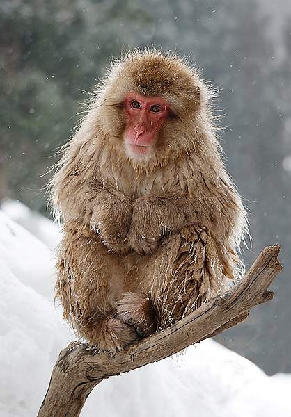 David Robinson_i1020.jpg