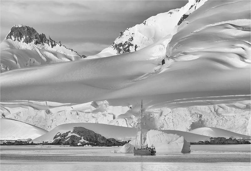 Pelagic Australis, Antarctica_Michael Bamford.jpg