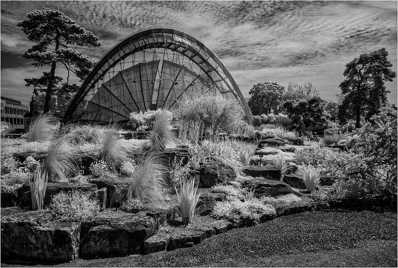 Rock Gardens and Alpine House_Peter Cox.jpg