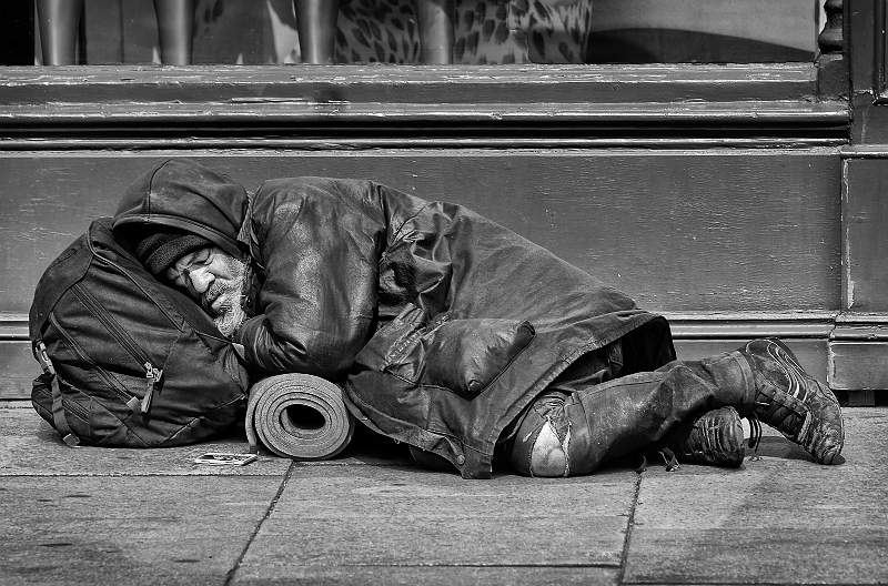 Daytime Dreamer.jpg - Daytime Dreamer