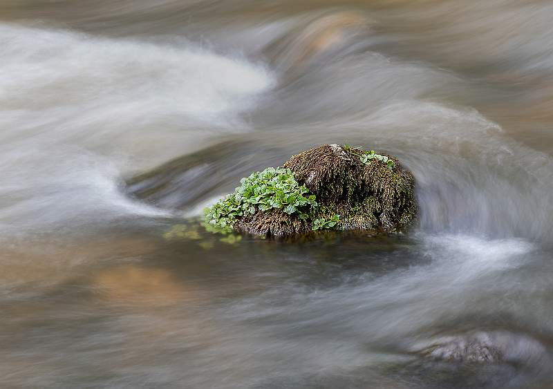 Swirling Water .jpg - Swilrling Water