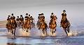 Royal Horse Artillery Holkham Beach Exhibition print
