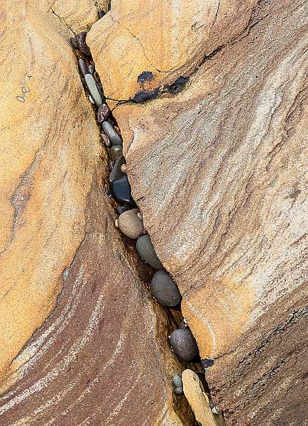 Bottom Left.jpg - Alison Hance`s Clover Panel 2020