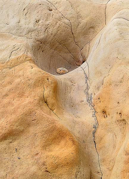 Bottom Middle.jpg - Alison Hance`s Clover Panel 2020