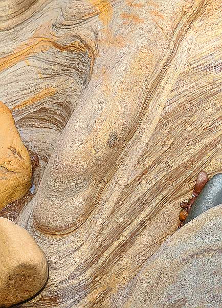 Top Left.jpg - Alison Hance`s Clover Panel 2020