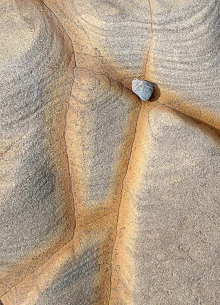 Top Middle.jpg - Alison Hance`s Clover Panel 2020