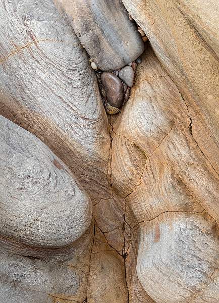 Top Right.jpg - Alison Hance`s Clover Panel 2020