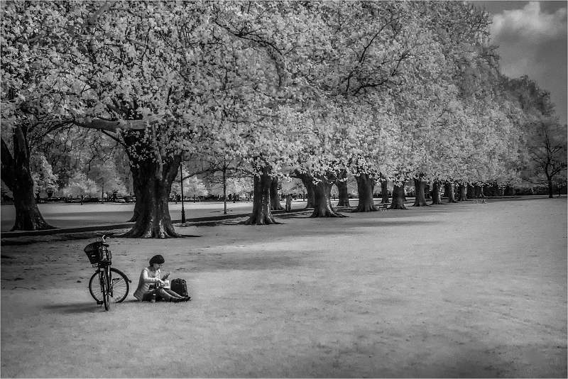 Relaxing days 1_Russell Hynard_set.i01.jpg - set.i01