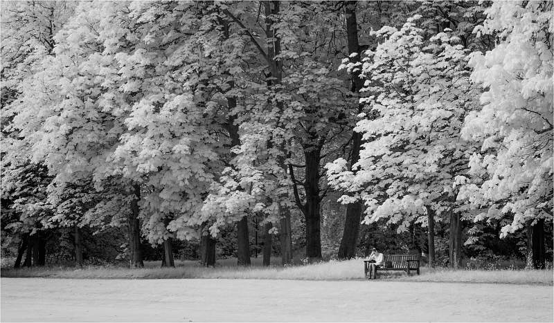 Relaxing days 5_Russell Hynard_set.i05.jpg - set.i05