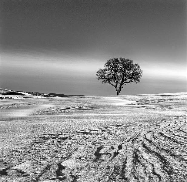 Windswept Snow Pattern_David Kelly.jpg - William Robinson Cup ( Mono Landscape) - Windswept Snow Pattern - David Kelly
