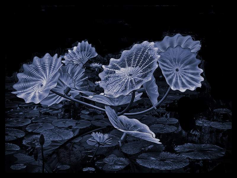 Dale Chihuly Sculpture At Kew.jpg - Dale Chihuly Sculpture at Kew