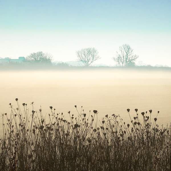 December Morning - Goldhanger.jpg - December Morning - Goldhanger