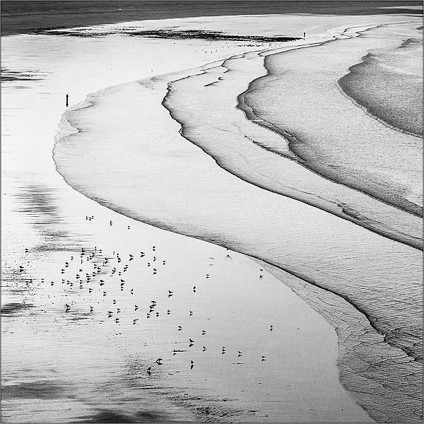 Inch Strand Wave Lines and 75 Birds_Barry Freeman.jpg - Inch Strand Wave Lines and 75 Birds