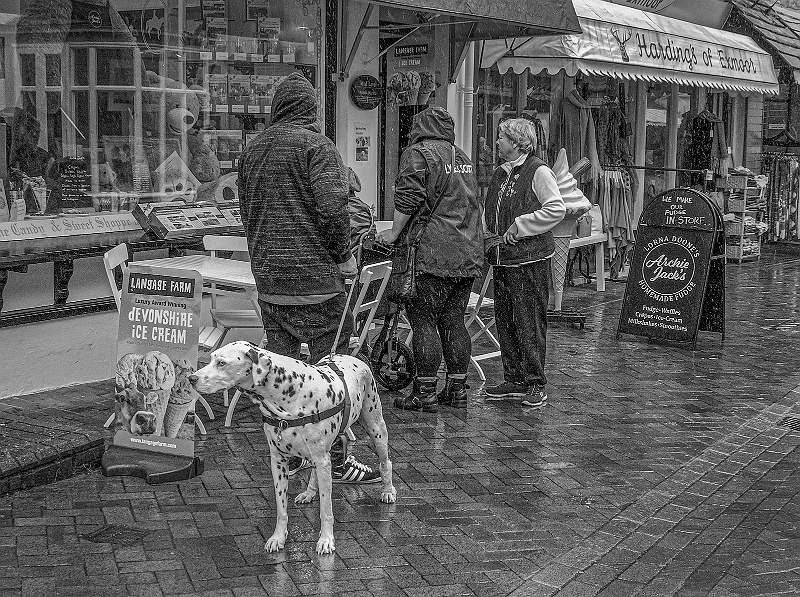 Peter Smith_God I am fed up lets go home.jpg - God I am fed up lets go home