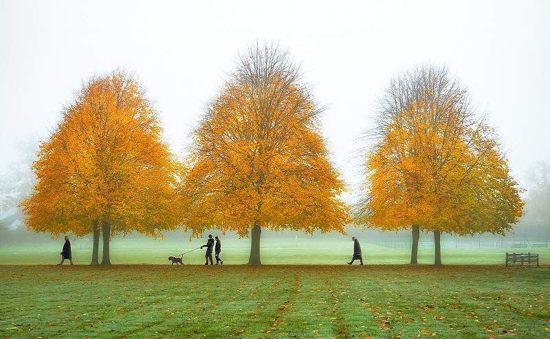 Walking Through The Park_David Kelly.jpg - Walking Through The Park