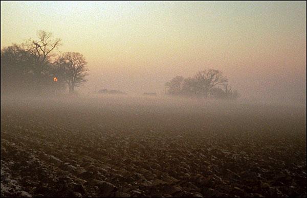 10MistyNovemberSunset.jpg