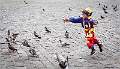 Clown child chasing pigeons open