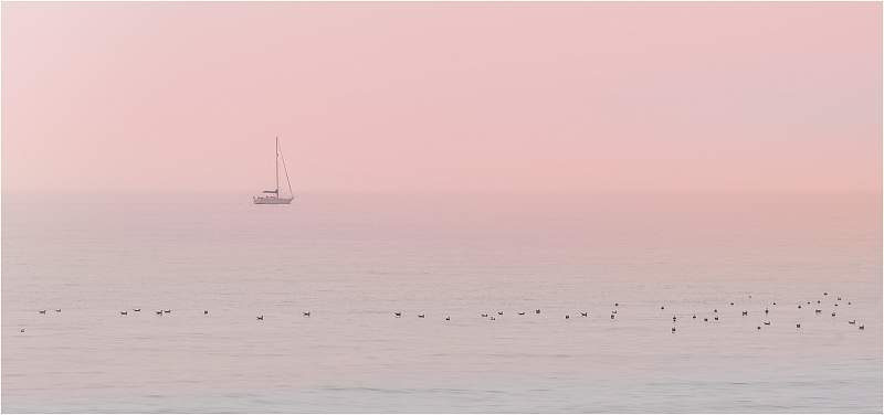 Dawn_Lindsey Saunders_Open.jpg - Open