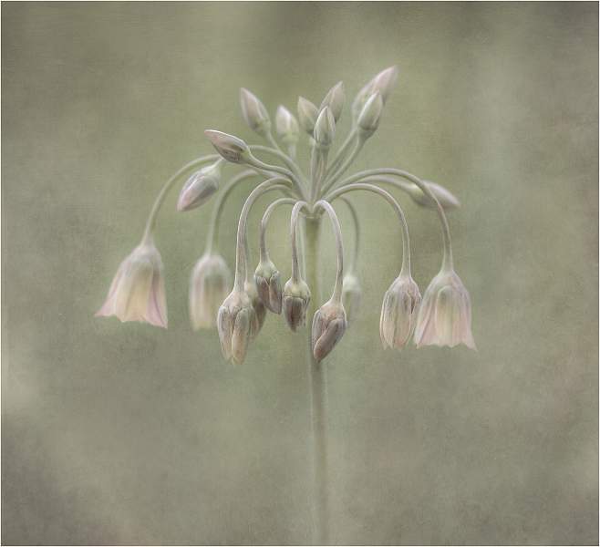 Unfolding_Lindsey Saunders_Open.jpg - Open