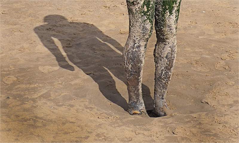 A SHADOW OF THE MAN HE ONCE WAS_Marian Rose_ set.jpg - DPI5 SET