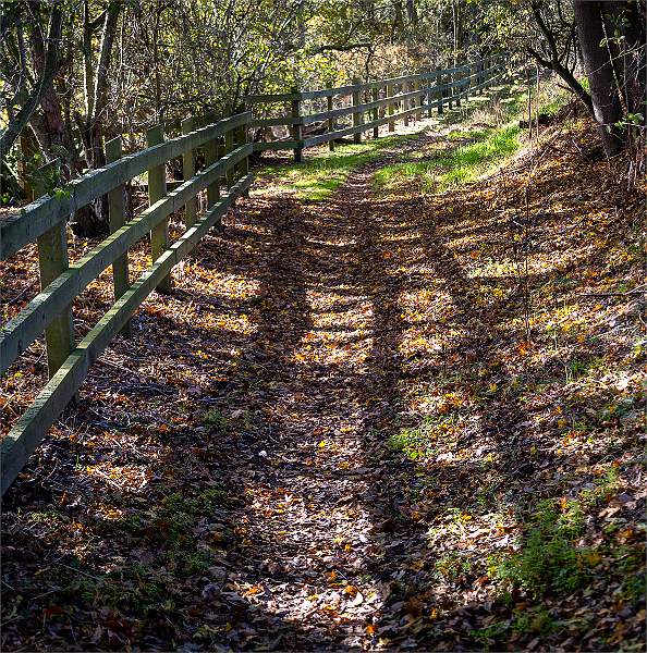 Autumn Shadows_Michael May_Set.jpg - DPI 5 - Set