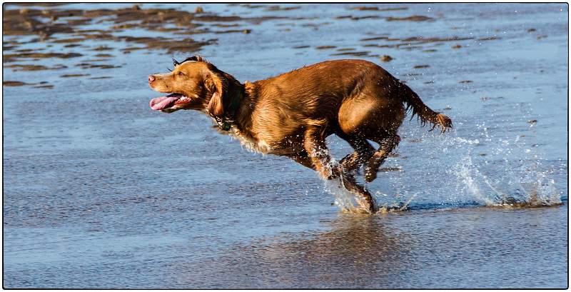 fun on hunstaton beach. Jim walker advanced open dpi comp5.jpg - advanced open dpi 4