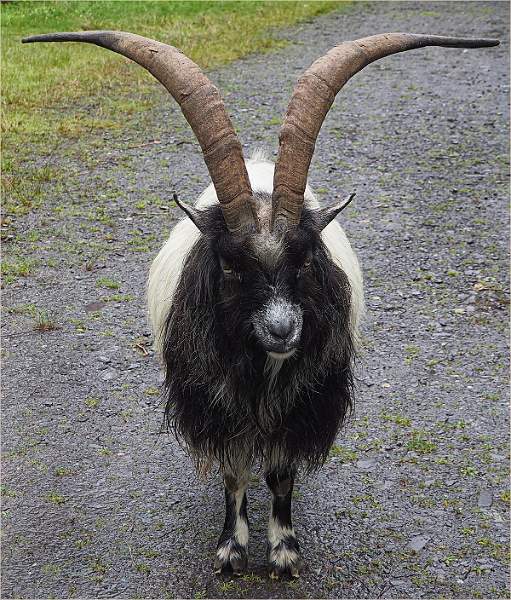 COME ANY CLOSER AND YOU'RE DEAD_MARIAN ROSE_OPEN.jpg - DPI 1 OPEN