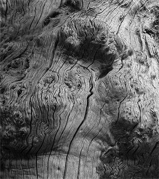 Knotty_Julie Browne_Set.jpg - Open