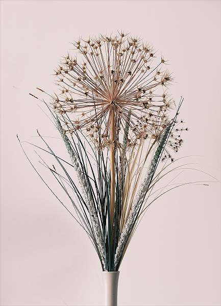 Seed Heads _David Ryland_OPEN.jpg