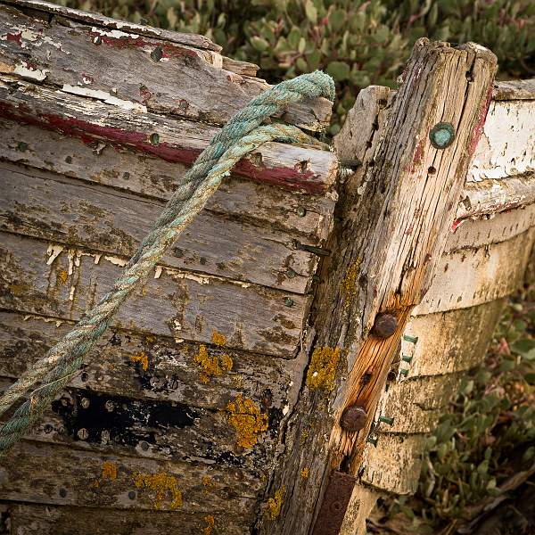 Take a bow_Dennis Kell_open.jpg