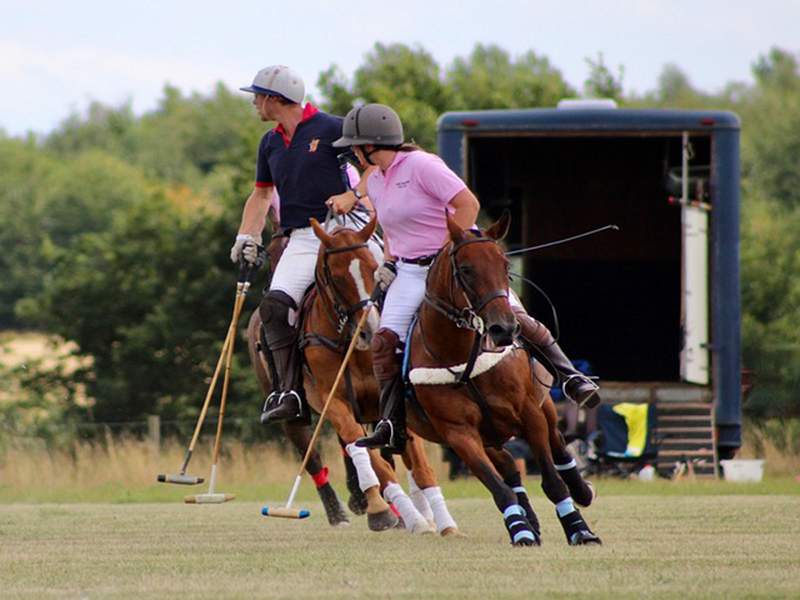 We missed the ball_Deborah Blackman.jpg