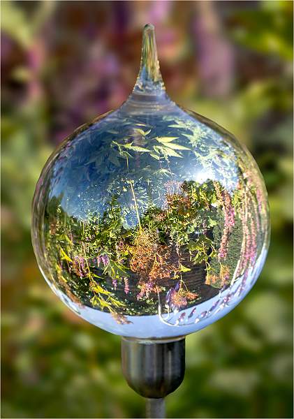 Garden in a Glass Bauble_Alison Hance_Open.jpg - DPI Monthly Comp No 3- Open