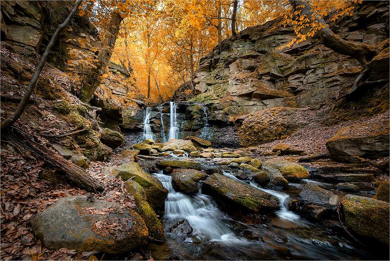 My Quiet Place_Malcolm Bumstead_Open.jpg