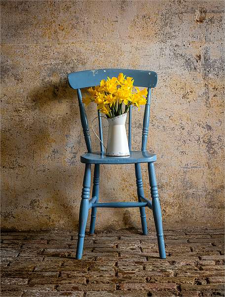 Daffodiles_Malcolm Bumstead_Open.jpg