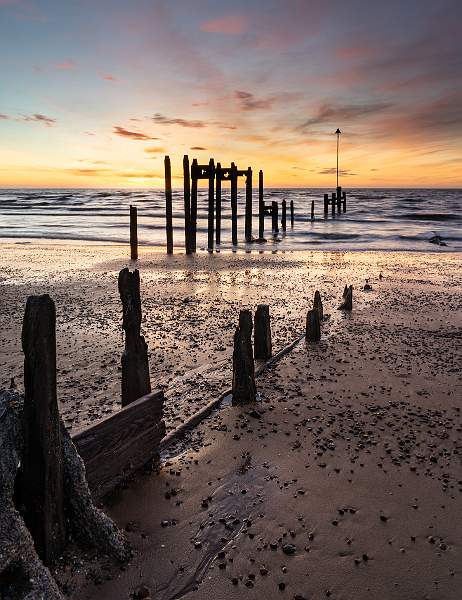 Remains_Jamie Bird_Open.jpg - Open