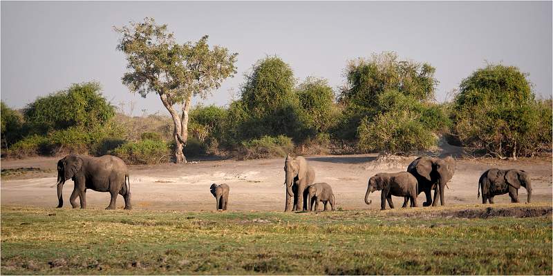 Searching for Water_Wendy Mann_Open.jpg - Open