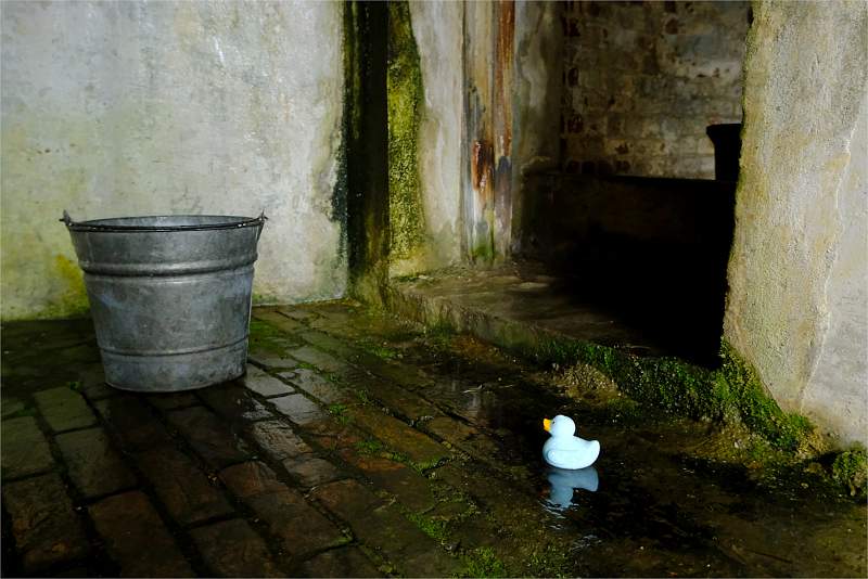 Seriously_Now What!_Stephanie Stollery_Open.jpg - B_Seriously - What Now!_Open