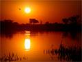 Okavango Sunset_Wendy Mann_Open