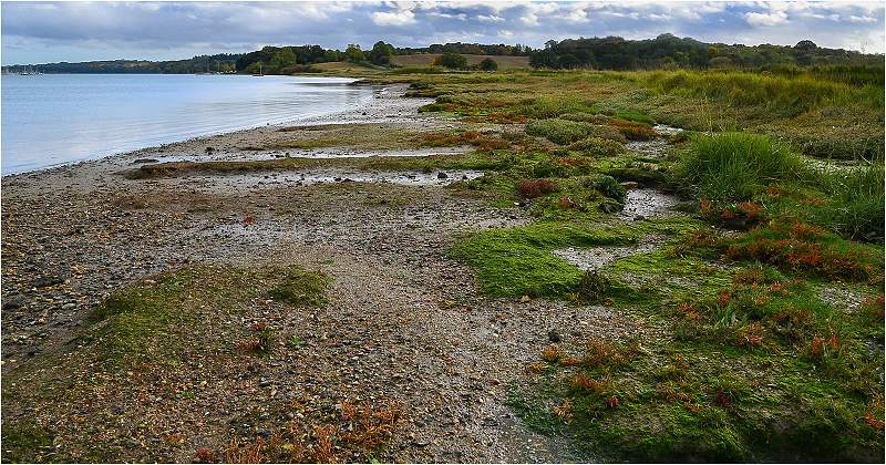 Freston Strand_michael jillings_set.jpg - B set