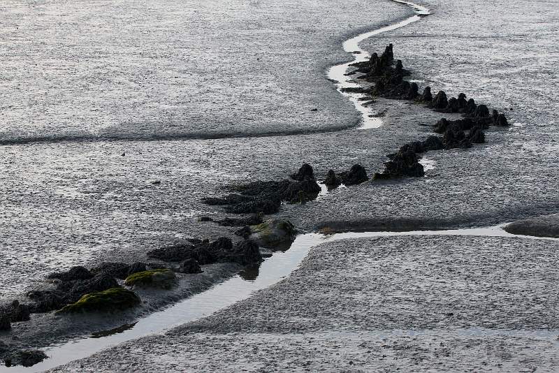 muddy_shoreline_ian_lipman_set.jpg - Set