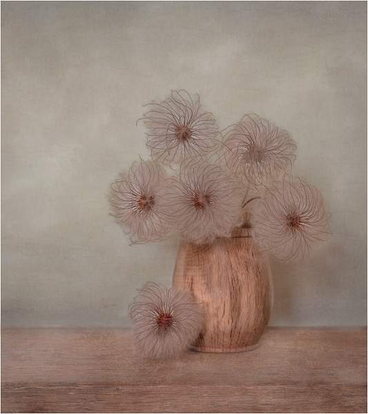 Winter Seed Heads_Lindsey Saunders_Open.jpg - Open