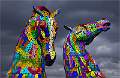 Multi Coloured Kelpies_Malcolm Bumstead_Set