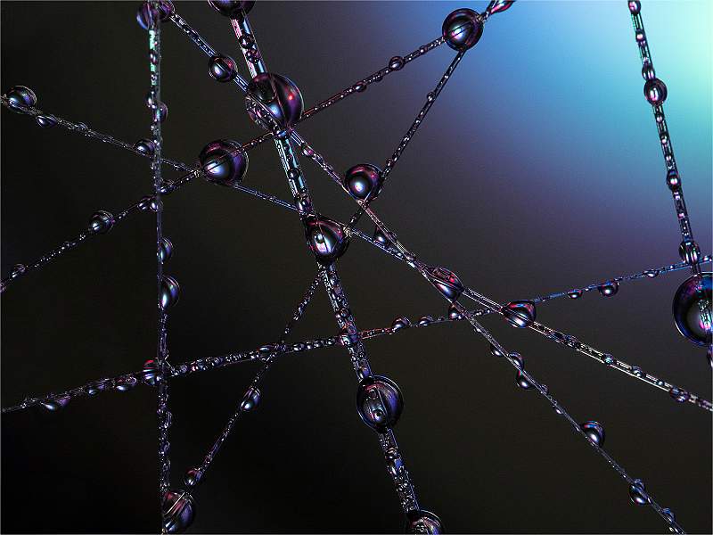 Water droplets_Julie Browne_Set.jpg - Set