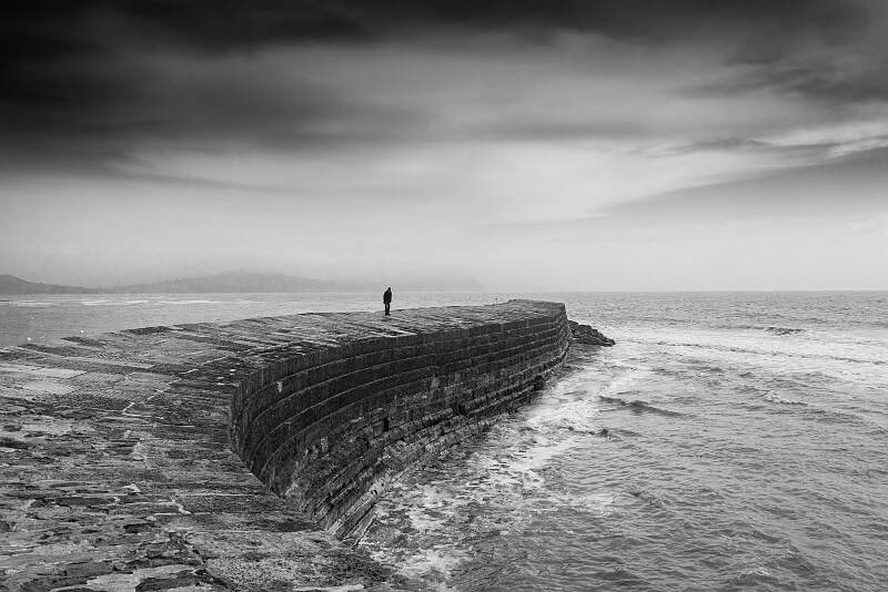 Cobbs lone figue  Martyn Scurrell OpenCobbs lone figue Martyn Scurrell Open.jpg - Open